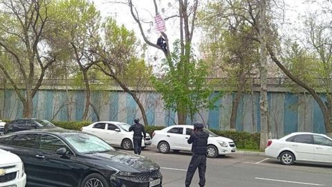 Тошкентда суд қароридан норози бўлган фуқаро дарахт устига чиқиб олди