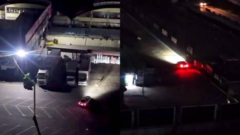 Тошкентда икки киши итлар устига машина ҳайдади