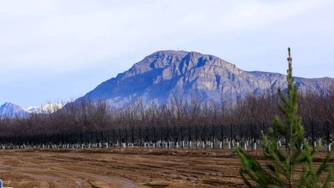 Земли для бизнеса будут выставляться на аукцион с готовым проектом и нужными разрешениями
