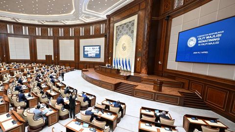 “Tadbirkorlar jarimani to‘lash arzonga tushadi degan fikrda”. Senator ekologiyaga zarar yetkazayotganlar haqida