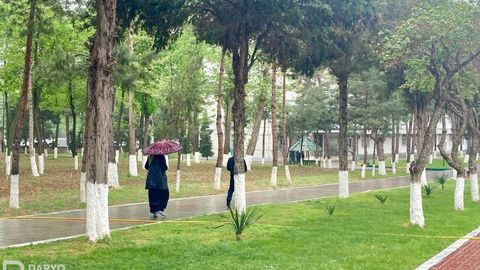 O‘zbekistonda 8-aprel kuni qanday ob-havo bo‘lishi ma’lum qilindi