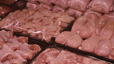 Uzbekistan to cover 50% of air transport costs for cattle imports