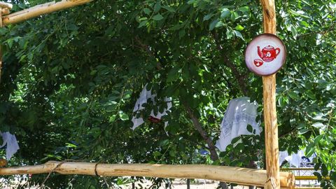 Ўзбекистонда депутатларга “Менинг боғим” лойиҳаларида ғолибни белгилаш ваколати берилди