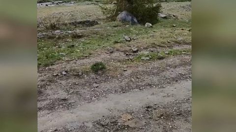 В Джизакской области прошел град диаметром до 8 мм (видео)