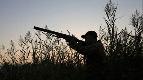 O&lsquo;zbekiston hududida 2025-yil 1-sentyabrdan 2028-yil 1-yanvargacha ov qilishga moratoriy joriy qilinishi mumkin