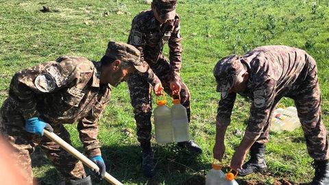 Как в Сурхандарье защищают нацпарки от пожаров