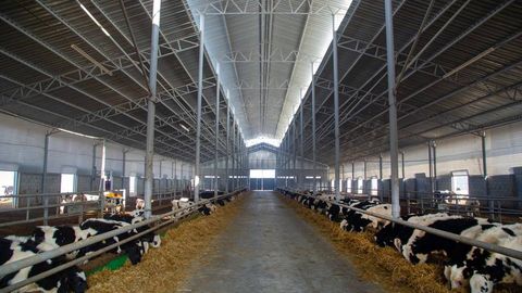 Андижан поможет в обучении афганских сельхоз специалистов 