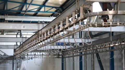 Маош 1700 евро: ўзбекистонликлар Германияга қассобчиликка таклиф этилмоқда