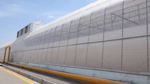 Uzbekistan tightens environmental rules, cuts gas supply to greenhouses in Tashkent region