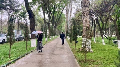 15 апреля в Ташкенте ожидаются дожди и понижение температуры