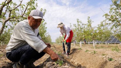 Турецкие инвесторы изучают опыт Хорезма в выращивании сельхоз культур