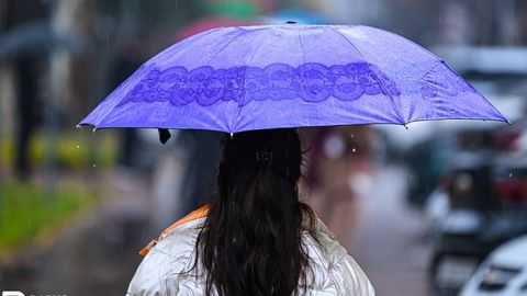 Сегодня по всему Узбекистану ожидается сильный дождь