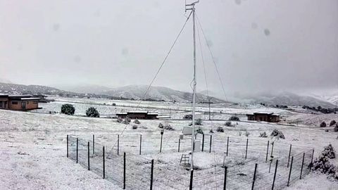 Жиззахда 16 апрель куни қор ёғди