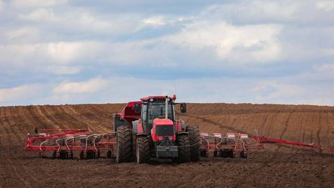 Uzbekistan to lease farmland in Belarus, export 60,000 tons of agricultural goods annually