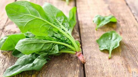 Энг яхши суперфуд: исмалоқнинг фойдали хусусиятларини биласизми?