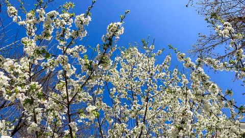 В выходные в Узбекистане потеплеет до 28 градусов