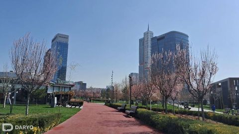 Сегодня в Узбекистане потеплеет до +25 градусов