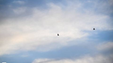 O‘zbekistonda hafta qanday ob-havo bilan boshlanishi ma’lum qilindi