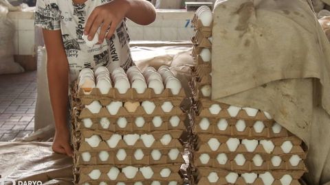 Qozog‘iston 6 oyga tuxum importini taqiqladi