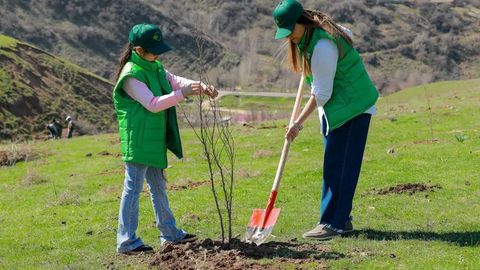 O‘zbekistonda “Ekofaol fuqaro” maqomini berish tartibi tasdiqlandi