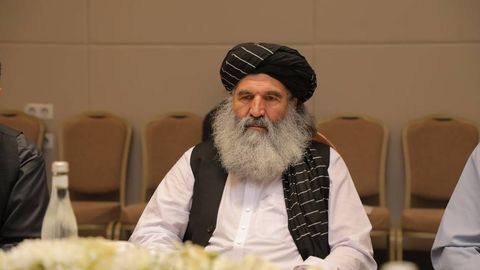 “Oʻtgan yili 2 mln tonnadan ortiq narkotik yoʻq qilindi” — Afgʻoniston ichki ishlar vaziri oʻrinbosari