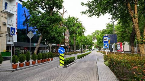 В Ташкенте в 2026 году появятся еще 18 круглосуточных улиц