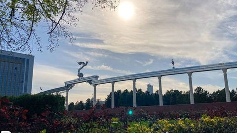 Сегодня по Узбекистану без осадков