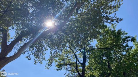 Дам олиш кунлари Ўзбекистонда 35 даражагача иссиқ бўлиши кутилмоқда