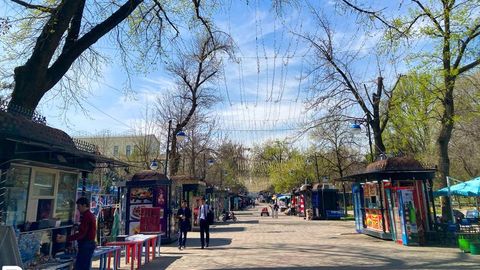 На выходных воздух в Узбекистане прогреется до 35 градусов