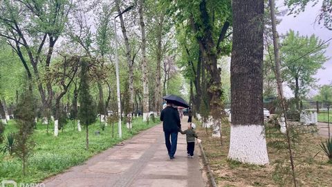 Сегодня в Ташкенте и Ташобласти возможны дожди