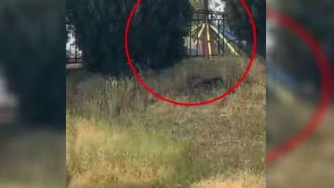 Andijondagi istirohat bogʻida attraksion sinib ketdi. Jarohat olganlar bor