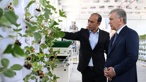 Қувада аҳолига 10 сотих томорқадан 250 млн сўмгача даромад олиш ўргатилмоқда