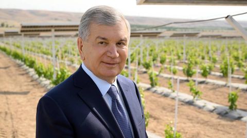 Президент Қувада жорий этилган агроволтаика технологияси билан танишди