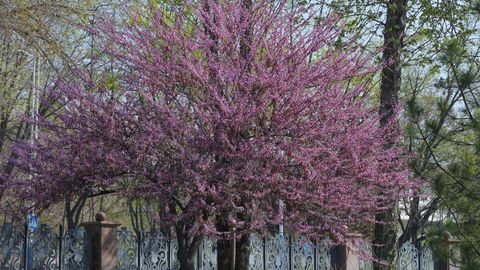 Сегодня в Узбекистане потеплеет до 33 градусов