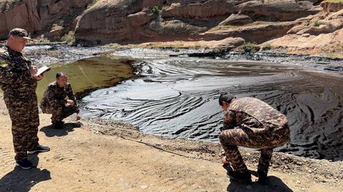 Uzbekistan estimates $670,000 environmental damage after Surkhandarya oil spill