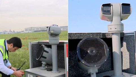 Искусственный интеллект поможет защитить самолеты от птиц в аэропорту Ташкента