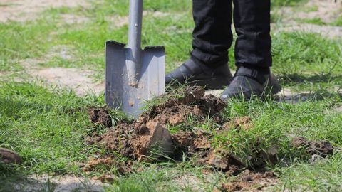 O&lsquo;zbekistonda daraxt ekkan kambag&lsquo;al fuqarolarga subsidiya berish yo&lsquo;lga qo&lsquo;yiladi