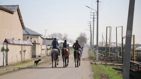 O&lsquo;zbekistonda ishsiz aholini kasb-hunarga o&lsquo;qitish xarajatlarini qoplash bo&lsquo;yicha vaucher tizimi joriy qilinadi