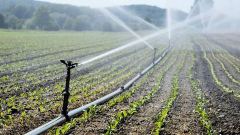 Uzbekistan introduces subsidy system for water-saving irrigation technologies