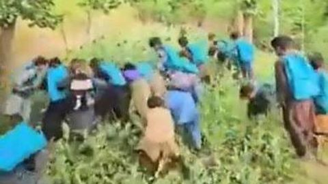 “Tolibon” giyohvand moddalarni yo‘q qilish uchun bolalardan foydalandi