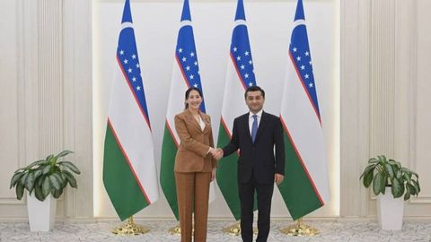 Uzbekistan, Japan discuss expanding strategic partnership, green and digital cooperation