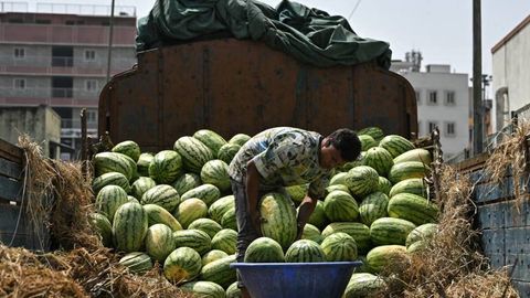 Hindistonda bir oila zaharlanib o‘lgani ortidan tarvuz savdosi tushib ketdi