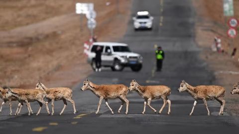 Porno aka singlisining bokiraligini oldi Rus porno yulduzi Anya dostlari bilan