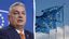 Bloomberg: Европа Иттифоқи Венгрия сабабли ўзининг асосий принсипини бекор қилиши мумкин