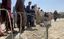 Nearly 2mn Afghans returned in 2025 as UN warns of escalating human rights crisis&nbsp;