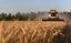 Afghanistan allegedly produces 60% of flour domestically &nbsp;