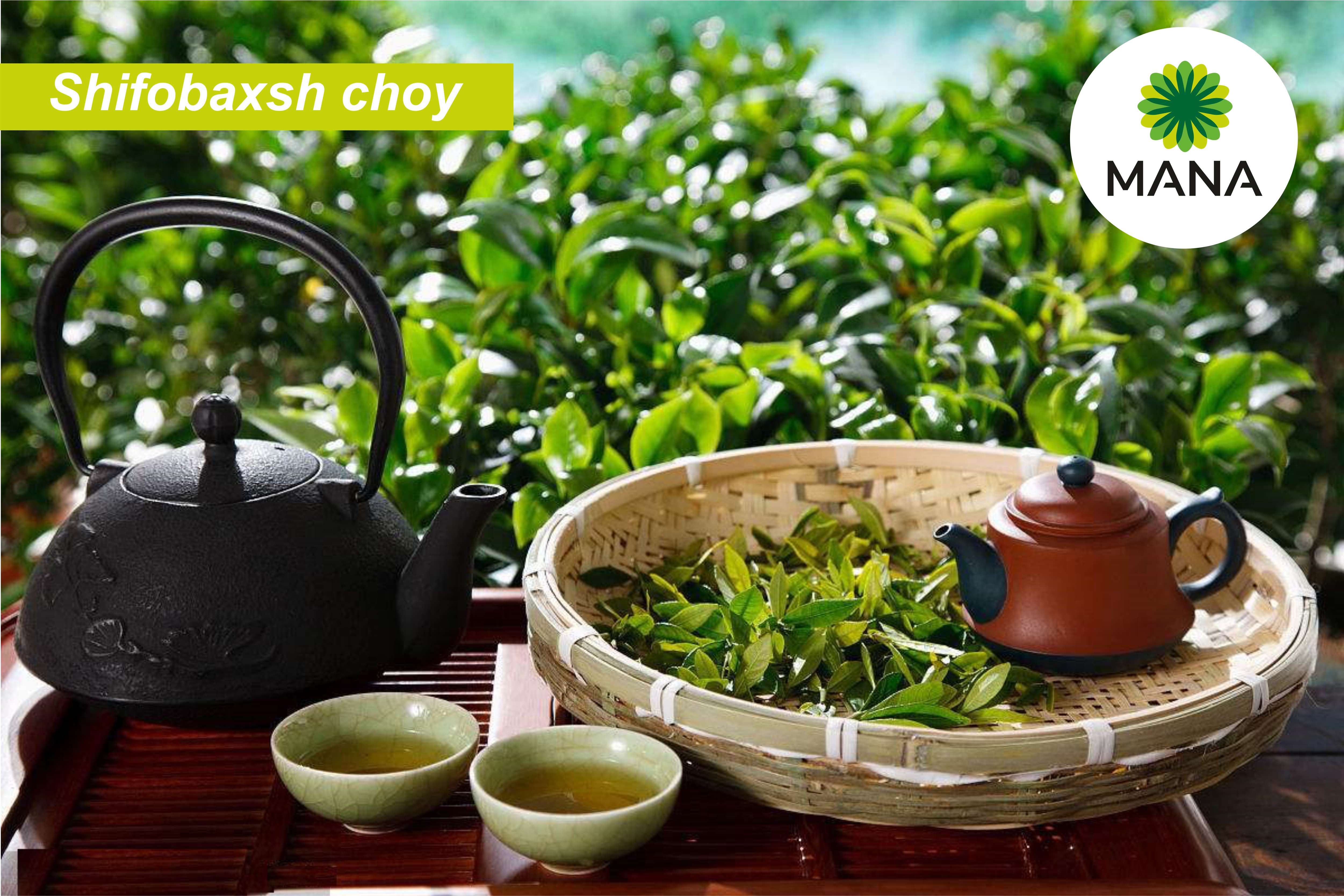 Русско китайский чай. Тигуанинь чай эффект. Зеленый чай (китайский, Лисма). Чайная церемония «китайский чайник нагревая». Чайная церемония в Китае улун.