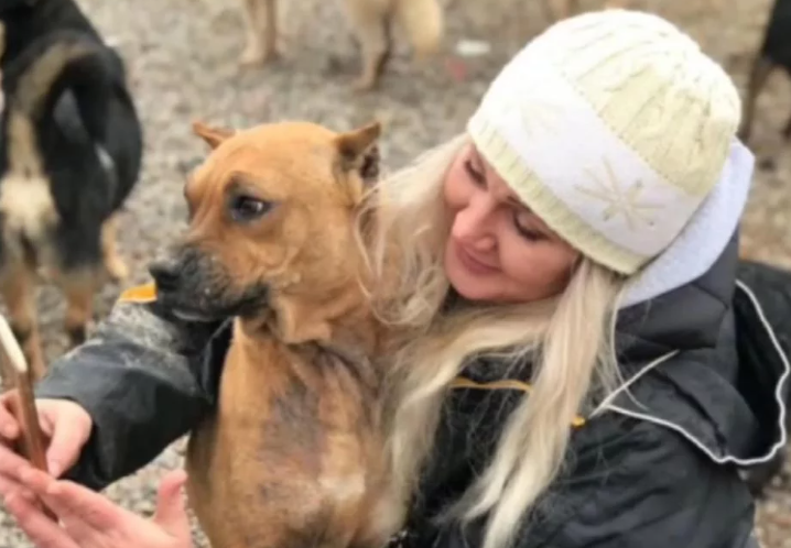 Hayot Animal Shelter shares heartwarming happy-end story of rescued dog