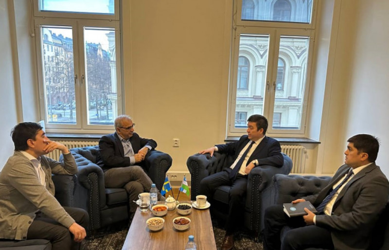 Cooperation to be established between universities of Uzbekistan and Sweden