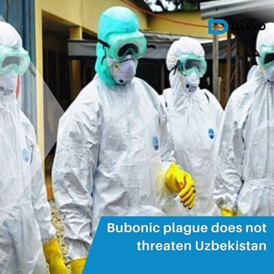 Bubonic plague does not threaten Uzbekistan